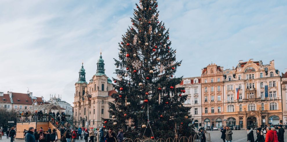 pexels-photo-10697690